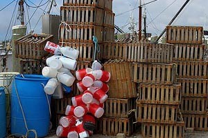 Newport Harbor Walk State Fishing Pier